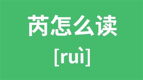 芮字|芮怎么读